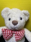Princess Soft Toys Plush White Teddy Bear Red Gingham Bow 10  Stuffed Toy Lovey