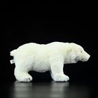 31cm 12 20inch Polar Bear Plush Toy Doll Kids Party Gift