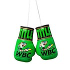 Wbc 5  Mini Boxing Gloves - Pair  Green