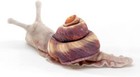 Folkmanis Mini Snail Finger Puppet