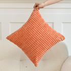 Pack Of 2 Decorative Throw Pillow Covers  18  X 18   pack Of 2  Coral rust