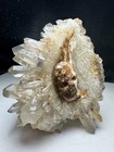 818g Natural Crystal Cluster Quartz carved Crystal Skull  Realistic healing cs