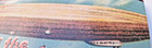 Airmail  Zepplin  Silver Steel Needles Antique Collectible