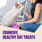 Wellness Kittles Crunchy Cat Treats  All Lifestages  Kitten To Senior  Natural 