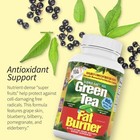 Applied Nutrition Green Tea Weight Loss Supplement  90 Capsules Free Shipping