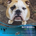 Bissell Pet Stain Eraser Deluxe Ion  Cleaner With Extended Runtime And Window
