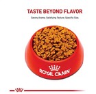 Royal Canin Size Health Nutrition Small Adult Dry Dog Food 30 Lb