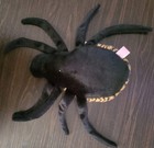 Ty Beanie Buddies Buddy Spinner The Spider With Tag - 1999