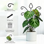 4 Pack Metal Small Plant 11 1 Inches  height  X 6cm  base Width   Black