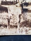 Keweenaw Mountain Copper Country Michigan Rppc Postcard Lot Of 5 Lake Superior