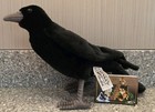 Hansa Black Crow Plush Stuffed Animal 12 l  31cm 6266 2015