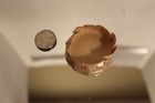 Rare Vtg Clover Leaf Creamry  Mpls Minn Milk Bottle Cap Cover  Grade A 3 5  B F