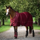 Back On Track Breathable Horse Stable Mesh Sheet With Shoulder Gussets