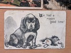 Antique vintage Lot Of Postcards Early 1900 s Variety  Circulated   Uncirculated