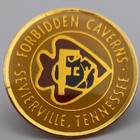 Vintage Forbidden Caverns Severville Tennessee Lapel Pin Smoky Mountain Souvenir