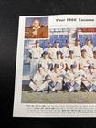 Original Vtg - 1966 Tacoma Cubs Baseball - Team Issued Photo - Pcl - 8 5x11in 