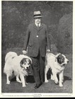 1930s Antique Great Pyrenees Print Sir T Cato Worsfold   His Dogs 5873b