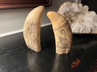 Scrimshaw Whale Teeth   Resin Replicas