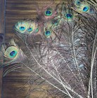 20 Peacock Feathers Bundle For Crafting And Decoration 20    Long Green blue brown