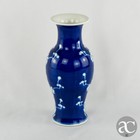 Chinese Porcelain Vase  Prunus Decoration  Kangxi Style
