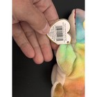Ty Beanie Babies Iggy The Iguana 1997 Rainbow Tie Dye Plush  Tags