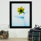 Craig Frames 7171610bkc1016aac 0 825-inch Wide Picture poster Frame In Wood G   