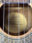 Lucero Lc150sce Spruce sapele Cutaway Acoustic-electric Classical Guitar W  Case