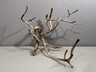 Manzanita Wood  Burnt Driftwood  Reptile Tank Decor   Aquascape  Terrarium