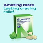 Nicorette 2mg Nicotine Gum To Quit Smoking - Mint Flavored Stop Smoking Aid     