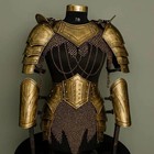 Medieval Lady Armor Suit Brave Female Chainmail Armor Cosplay Armor Sca   Larp