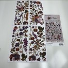 49   Market Artoptions Plum Grove And Rouge  Laser Cuts  Film Stripes  File Set