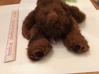 Russ Plush Timber Brown Bear Stuffed Toy  13  Soft Clean