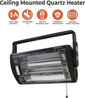 1 500-watt Ceiling Mounted Dual Quartz Radiant Heater With 90-degree Adjustable