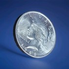 1923-p Peace Silver Dollar- Brilliant Uncirculated- Nice Luster - High Grade 