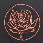 Vtg 00 s Ryan Adams   The Cardinals Cold Roses Tour Concert Faded 2005 Tshirt S
