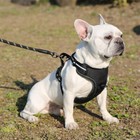 Cat Dog Pet Harness Adjustable Control Vest Dogs Reflective Standard Leash