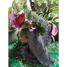 Butterfly Flower Crown