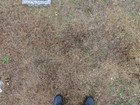 Burial Plot For Sale