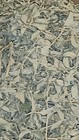 New Mexico White Sage Smudge Loose Cluster Incense Bulk  1 Pound  