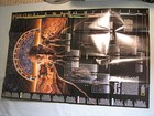Dawn Of Humans   Seeking Our Origins Evolution Map National Geographic Feb  1997