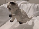 Hagen Renaker Siamese Fluffy Kittens Playing 