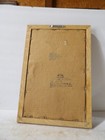 Budweiser Michelob Frog Mirror 10 1 2 X 15 1 2