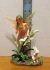2007  Collectible Faerie Glen  mystirodo  Figurine  By Munro Gifts  Fg895  W box