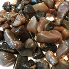 Petrified Wood  tumbled And Highly Polished  1 2 Pound Lots    40  Gemstones