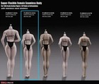 New Girl Type Phicen S24a 1 6 Seamless Shorter Body Pale M Bust    usa    Tbleague