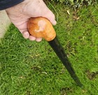 Handcrafted Irish  Blackthorn Walking Stick With Polished Wood Handle 
