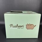 New  Pusheen Ramen Bowl With Chopsticks