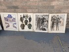 Large Lot 18   x16    Lithographs Art Men   s Wear Fashion Catalog Advertising 1900   s