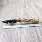 Cholla Cactus Wood Handle Obsidian Blade Ornamental Knife  8854  Mountain Man Kn