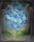 Nib 2008 Ibis   Orchid  blue Hydrangea  Nightlight 5-1 2  Glowing Table Lamp New